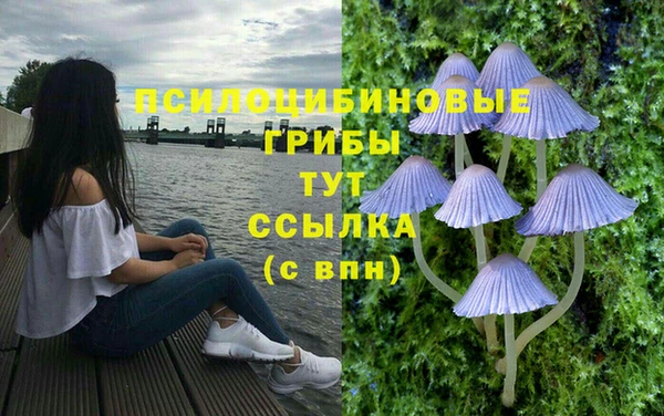 твердый Пересвет