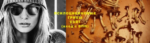 твердый Приозерск