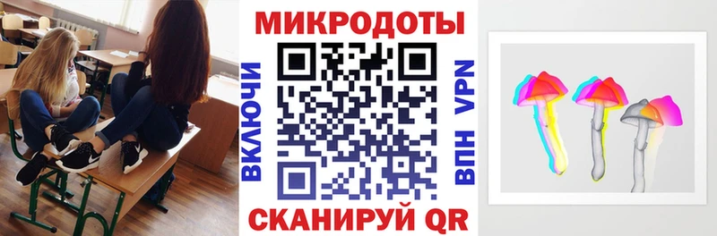 Псилоцибиновые грибы Psilocybine cubensis  Жуков 